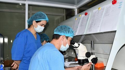 Bước tiến mới trong điều trị nam giới hiếm muộn