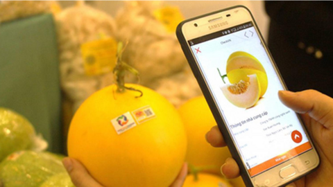 Đẩy mạnh cấp mã số vùng trồng để nông sản vươn xa
