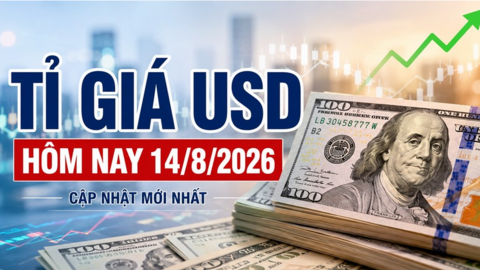 Tỉ giá USD hôm nay 14.8.2026: Giá USD ngân hàng xuống thấp