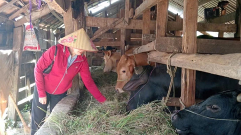 Chỉ thị 39 của Ban Bí thư: Động lực mới nâng cao hiệu quả tín dụng chính sách ở Đắk Lắk