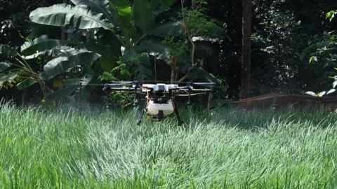 Nông trại Trung Quốc gần như không cần người nhờ AI và drone