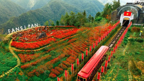 Lên Fansipan mùa thu: Săn mây, ngắm mùa vàng và thảm hoa rực rỡ ​