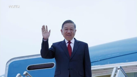 Tổng Bí thư, Chủ tịch nước Tô Lâm đến New York tham dự Phiên thảo luận cấp cao Đại hội đồng Liên hợp quốc khóa 81