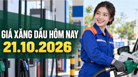 Giá xăng dầu hôm nay 21.10.2026: Dầu thế giới cùng giảm gần 3%