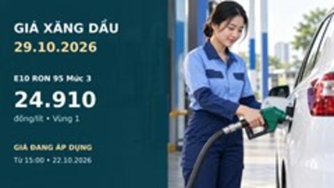 Giá xăng dầu hôm nay 29.10.2026: Dầu thế giới bật tăng
