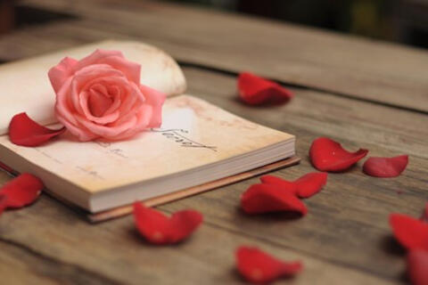 <a href="/ngam" title="Ngẫm" rel="dofollow">Ngẫm</a>