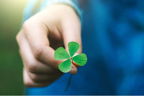 <a href="/ngam" title="Ngẫm" rel="dofollow">Ngẫm</a>