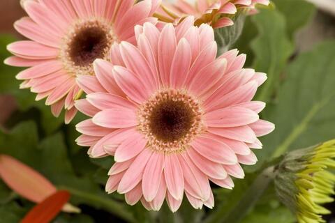 <a href="/ngam" title="Ngẫm" rel="dofollow">Ngẫm</a>