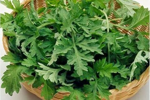 <a href="/ngam" title="Ngẫm" rel="dofollow">Ngẫm</a>