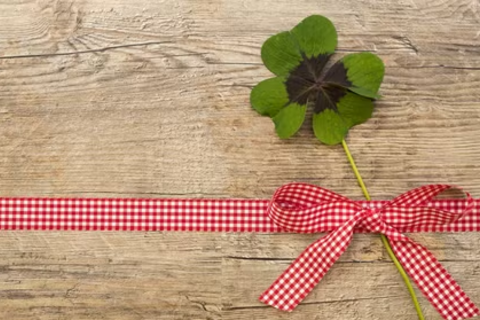 <a href="/ngam" title="Ngẫm" rel="dofollow">Ngẫm</a>