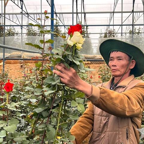 <a href="/khoi-nghiep" title="Khởi nghiệp" rel="dofollow">Khởi nghiệp</a>