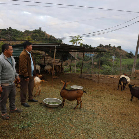 <a href="/khoi-nghiep" title="Khởi nghiệp" rel="dofollow">Khởi nghiệp</a>