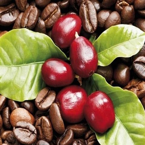 <a href="/kinh-te-247" title="Kinh tế 247" rel="dofollow">Kinh tế 247</a>