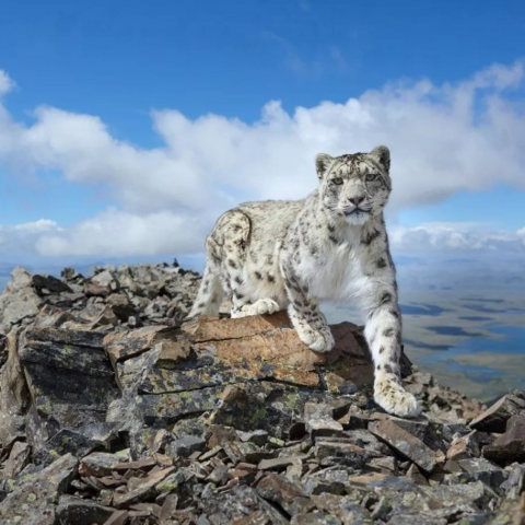 <a href="/kham-pha" title="Khám phá" rel="dofollow">Khám phá</a>