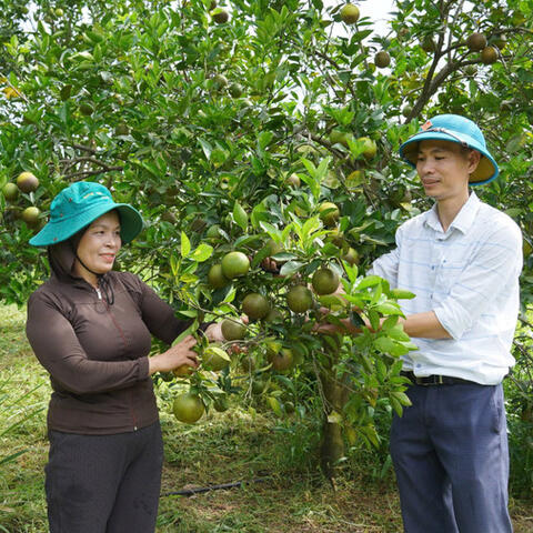 <a href="/khoi-nghiep" title="Khởi nghiệp" rel="dofollow">Khởi nghiệp</a>