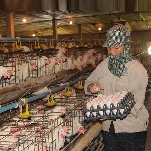 <a href="/kinh-te-247" title="Kinh tế 247" rel="dofollow">Kinh tế 247</a>