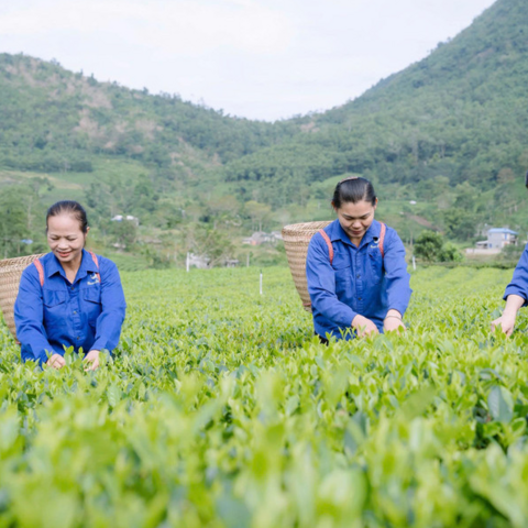 <a href="/kham-pha" title="Khám phá" rel="dofollow">Khám phá</a>