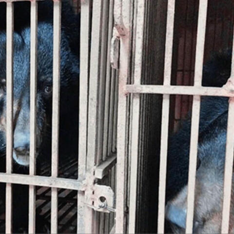 <a href="/tin-tong-hop" title="Tin tổng hợp" rel="dofollow">Tin tổng hợp</a>