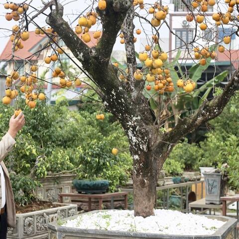 <a href="/khoi-nghiep" title="Khởi nghiệp" rel="dofollow">Khởi nghiệp</a>