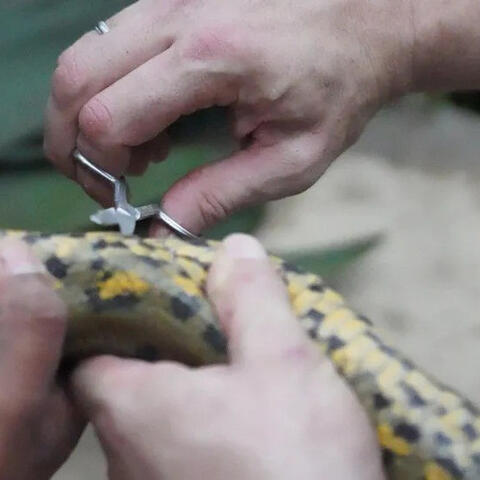 <a href="/kham-pha" title="Khám phá" rel="dofollow">Khám phá</a>