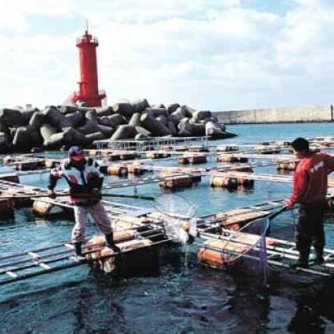 <a href="/khoi-nghiep" title="Khởi nghiệp" rel="dofollow">Khởi nghiệp</a>