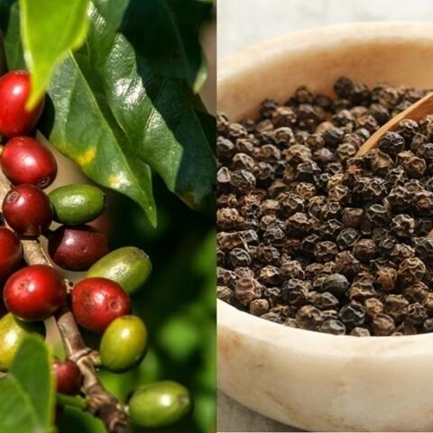 <a href="/kinh-te-247" title="Kinh tế 247" rel="dofollow">Kinh tế 247</a>