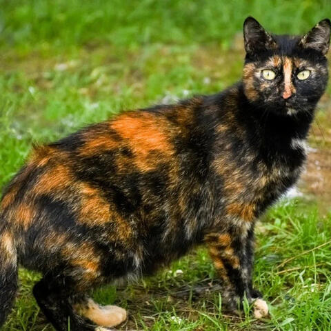 <a href="/kham-pha" title="Khám phá" rel="dofollow">Khám phá</a>