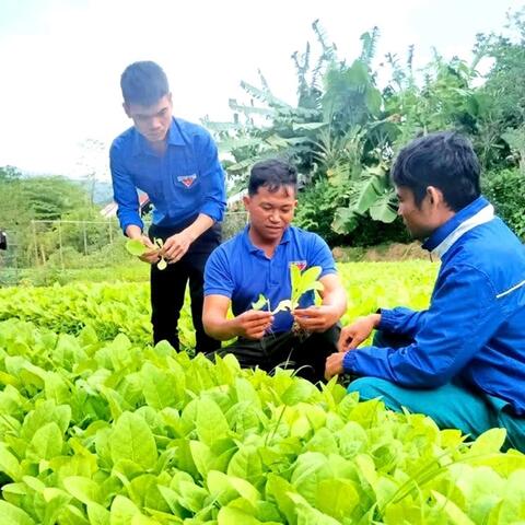 <a href="/khoi-nghiep" title="Khởi nghiệp" rel="dofollow">Khởi nghiệp</a>