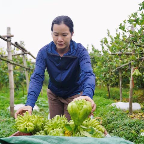 <a href="/khoi-nghiep" title="Khởi nghiệp" rel="dofollow">Khởi nghiệp</a>