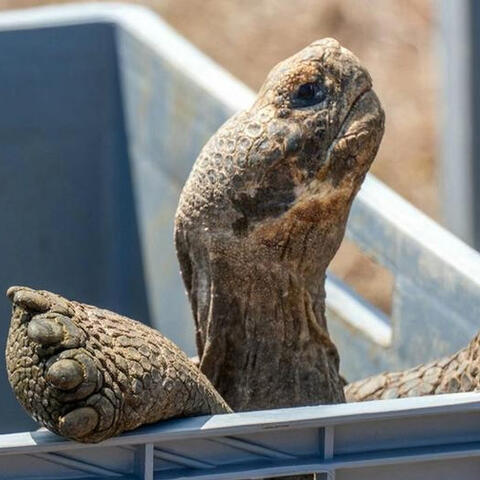 <a href="/kham-pha" title="Khám phá" rel="dofollow">Khám phá</a>