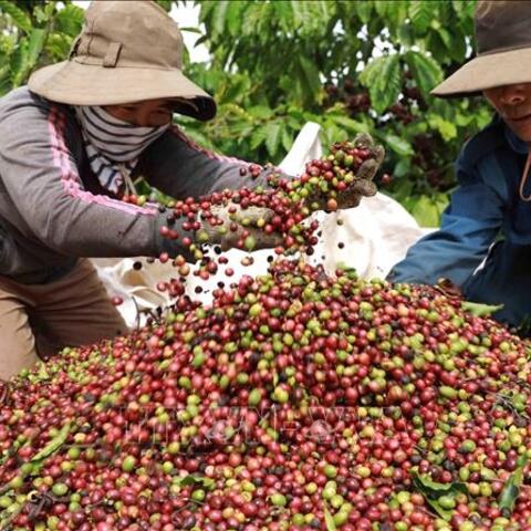 <a href="/kinh-te-247" title="Kinh tế 247" rel="dofollow">Kinh tế 247</a>