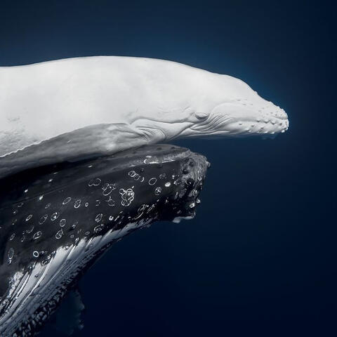 <a href="/kham-pha" title="Khám phá" rel="dofollow">Khám phá</a>