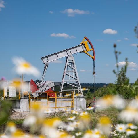 <a href="/kinh-te-247" title="Kinh tế 247" rel="dofollow">Kinh tế 247</a>