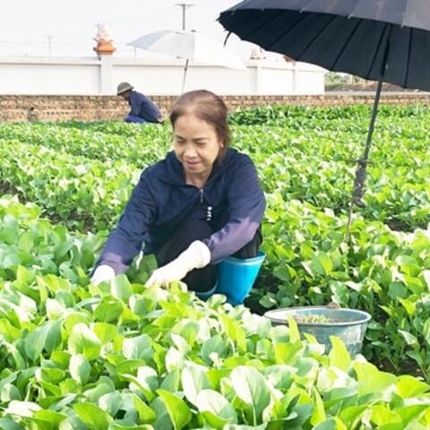 <a href="/khoi-nghiep" title="Khởi nghiệp" rel="dofollow">Khởi nghiệp</a>