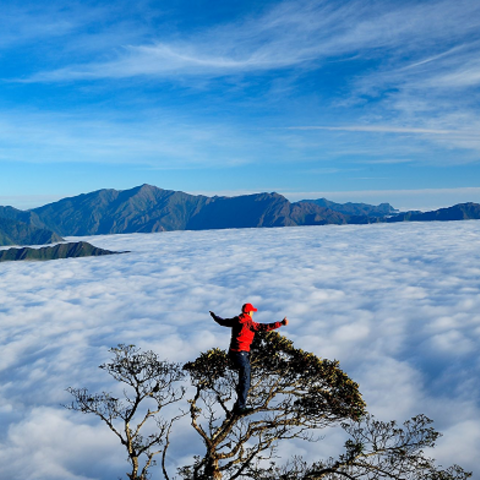 <a href="/gioi-tre" title="Giới trẻ" rel="dofollow">Giới trẻ</a>