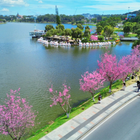 <a href="/kham-pha" title="Khám phá" rel="dofollow">Khám phá</a>