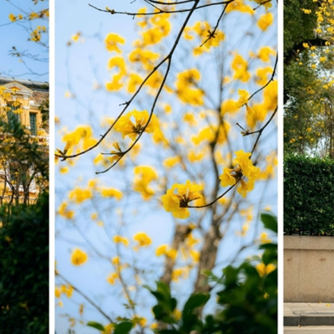 <a href="/kham-pha" title="Khám phá" rel="dofollow">Khám phá</a>