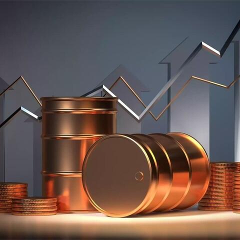 <a href="/kinh-te-247" title="Kinh tế 247" rel="dofollow">Kinh tế 247</a>