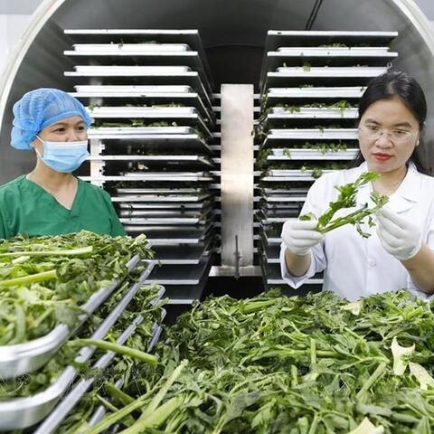 <a href="/kinh-te-247" title="Kinh tế 247" rel="dofollow">Kinh tế 247</a>