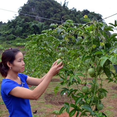 <a href="/kinh-te-247" title="Kinh tế 247" rel="dofollow">Kinh tế 247</a>