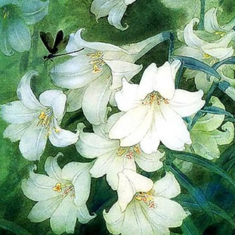 <a href="/gioi-tre" title="Giới trẻ" rel="dofollow">Giới trẻ</a>