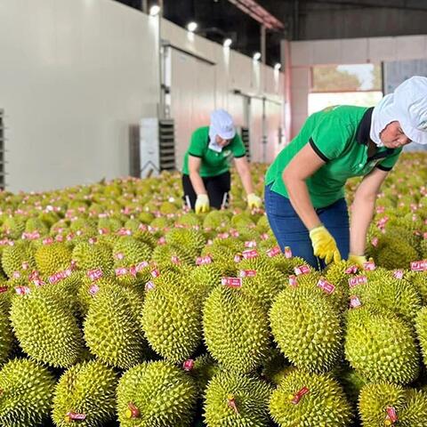 <a href="/kinh-te-247" title="Kinh tế 247" rel="dofollow">Kinh tế 247</a>