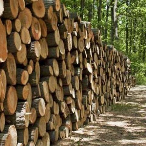 <a href="/kinh-te-247" title="Kinh tế 247" rel="dofollow">Kinh tế 247</a>