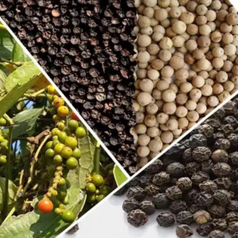 <a href="/kinh-te-247" title="Kinh tế 247" rel="dofollow">Kinh tế 247</a>