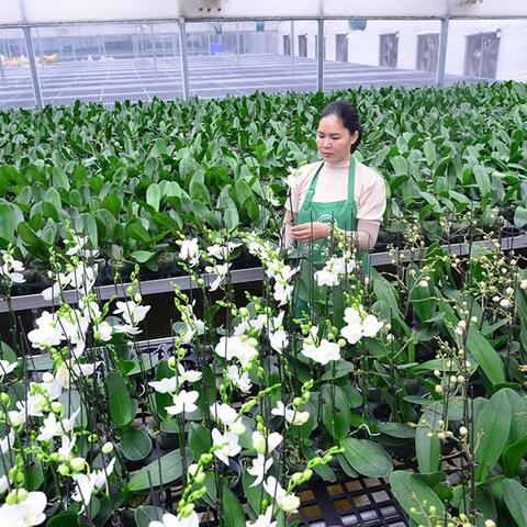 <a href="/tin-tong-hop" title="Tin tổng hợp" rel="dofollow">Tin tổng hợp</a>