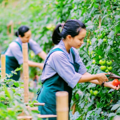 <a href="/khoi-nghiep" title="Khởi nghiệp" rel="dofollow">Khởi nghiệp</a>