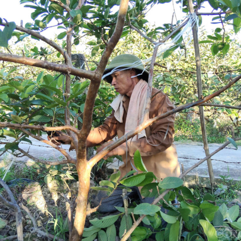 <a href="/kinh-te-247" title="Kinh tế 247" rel="dofollow">Kinh tế 247</a>