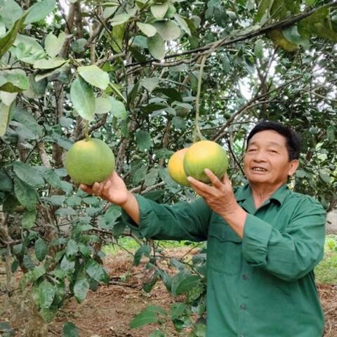 <a href="/khoi-nghiep" title="Khởi nghiệp" rel="dofollow">Khởi nghiệp</a>
