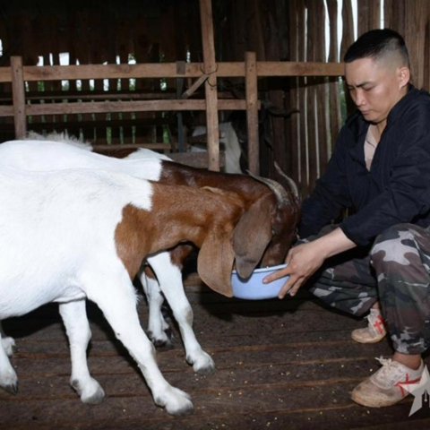 <a href="/khoi-nghiep" title="Khởi nghiệp" rel="dofollow">Khởi nghiệp</a>