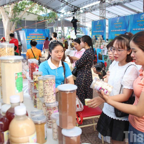 <a href="/khoi-nghiep" title="Khởi nghiệp" rel="dofollow">Khởi nghiệp</a>